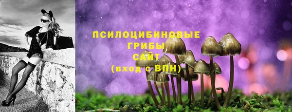 метамфетамин Белокуриха